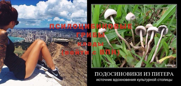 молекула духа Белокуриха
