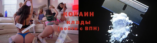 винт Богданович