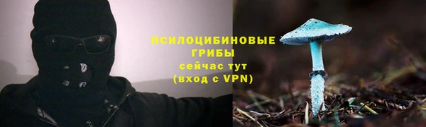 хмурый Богородск