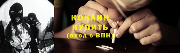 винт Богданович