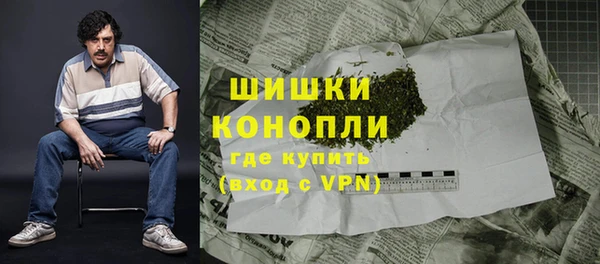 сатива Богородицк