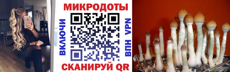 сайты даркнета состав  закладка  Белорецк  Галлюциногенные грибы GOLDEN TEACHER 